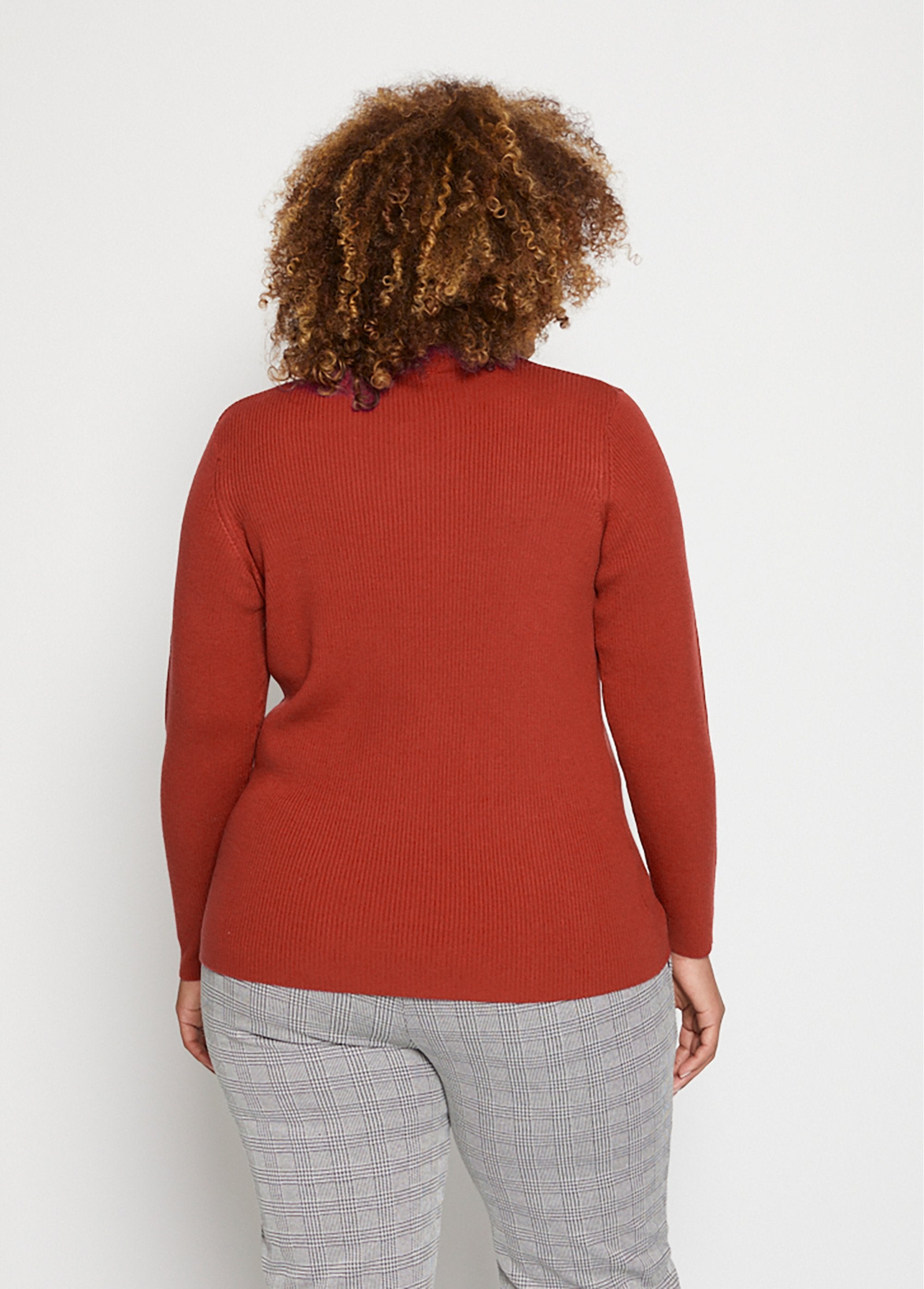 Short_ribbed_knit_high_neck_sweater_Spicy_DO1_curvy