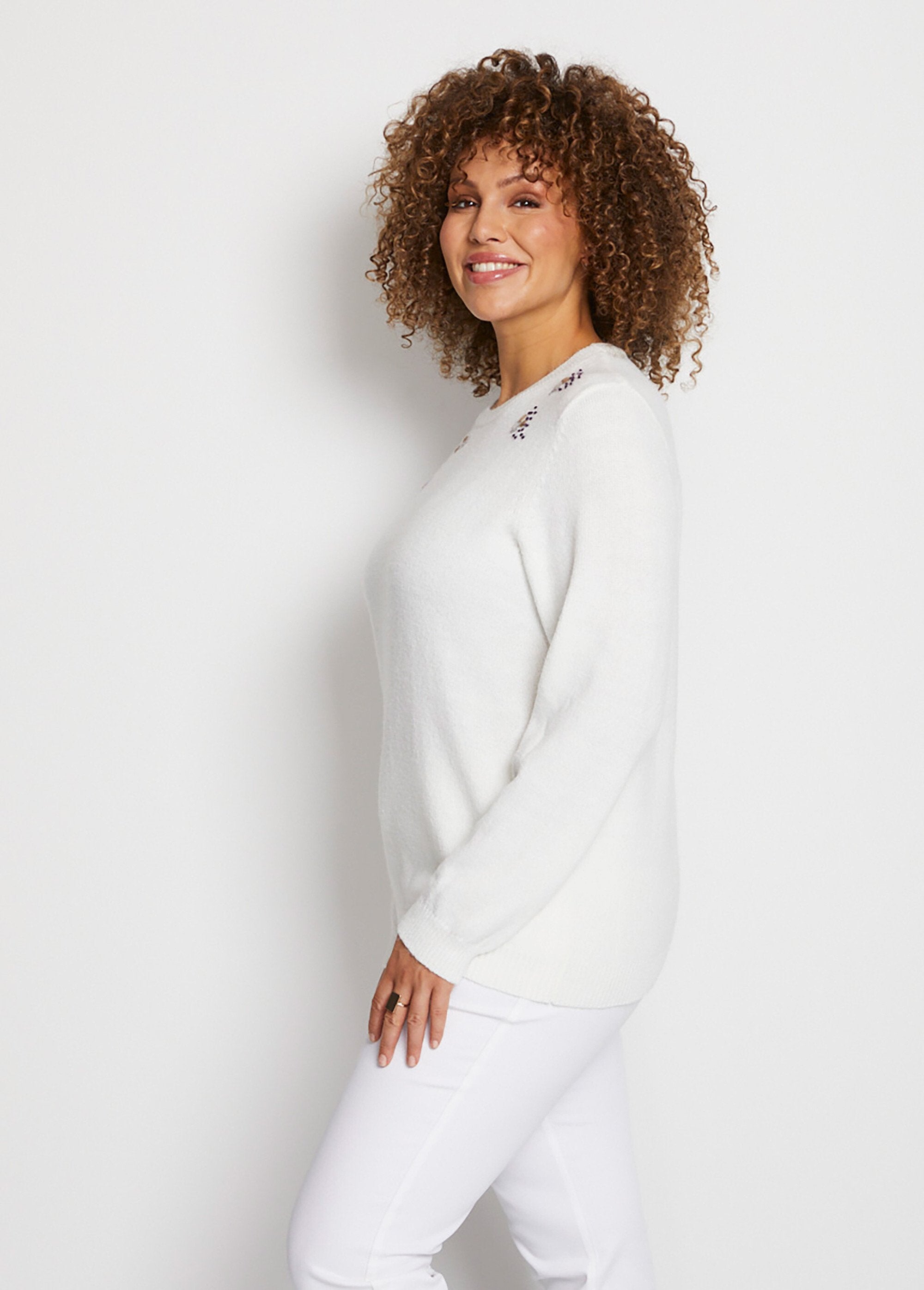 Soft_plain_embroidered_round_neck_long_sleeve_sweater_Ecru_DR1_curvy